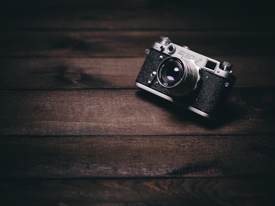 Fujifilm X-H2Sで快挙!国際野鳥写真コンテスト2位・3位に輝く