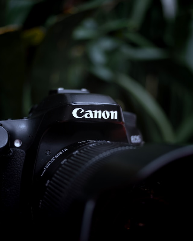 【速報】Canon EOS R8 Mark II リーク情報 まさかのセンサー搭載で9月登場か？
