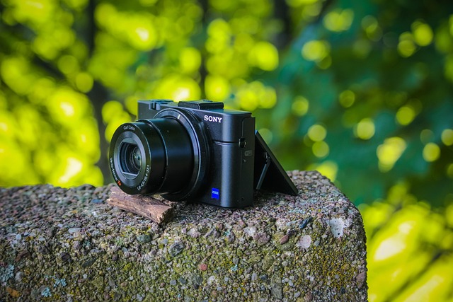 SONY RX100VIIIは50MPセンサー搭載か？新400/600mm望遠レンズの噂まとめ